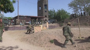 Exercise Tradewinds Final Exercise B-roll - 3