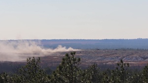 1-319 AFAR