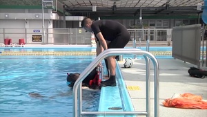 All Hands Update: Swimming Scenarios