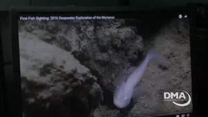 NOAA Research on Guam (social media vesion)