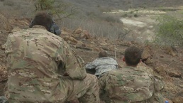 ART Advanced Marksmanship