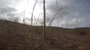 ART Firing Lanes GoPro Footage