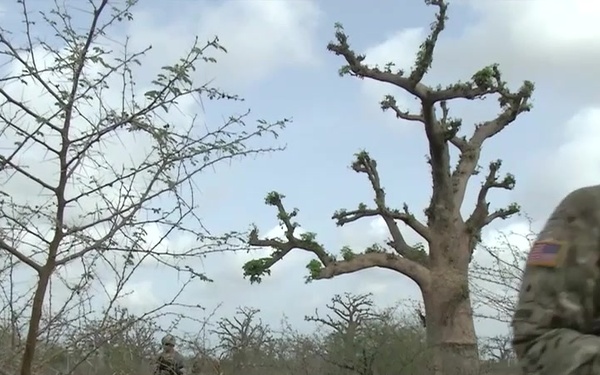 ART Firing Lanes BRoll