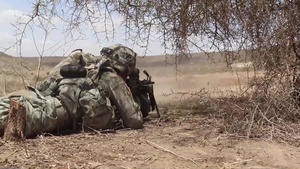 Platoon Live-Fire Exercise Africa Readiness Training 2016