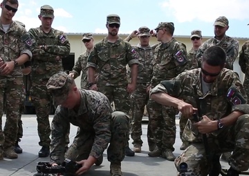 Platinum Lion: DIS &amp; ASS