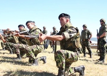 Platinum Lion: speed re-load drills