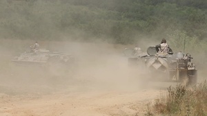 Platinum Lion: Bulgarian BMP-23 range