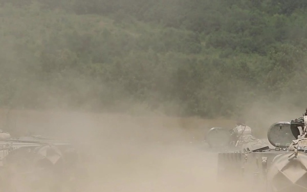 Platinum Lion: Bulgarian BMP-23 range