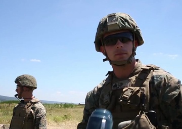 Platinum Lion: CMP range