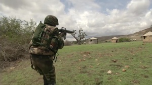 Senegalese Assault Team