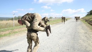 Platinum Lion: NATO Squad Comp