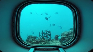 America’s Best Kept Secret – A Tropical Paradise for Service Members - TV