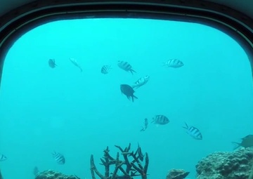 America’s Best Kept Secret – A Tropical Paradise for Service Members - TV
