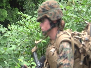 B-Roll of MWSS-171 firing weapons