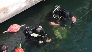 All Hands Update: Sea Breeze 2016 Divers
