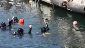 Sea Breeze 16 Divers Component
