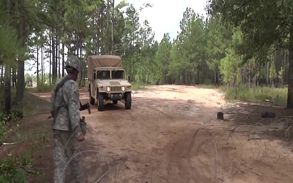 407th BSB Supports, Trains and Celebrates