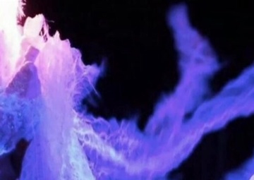 Around the Peninsula - 160818