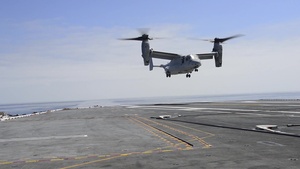 Carl Vinson Osprey