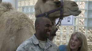 Get Over The Hump