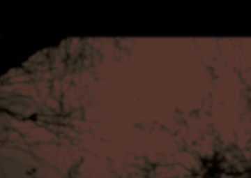 Experto Forense encargado de identificar los Restos Humanos de Migrantes