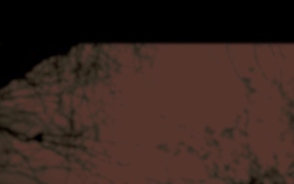 Experto Forense encargado de identificar los Restos Humanos de Migrantes