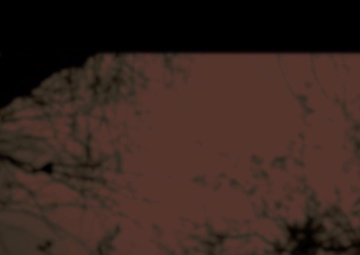 Forensic Expert in Charge of identifying Migrants Human Remains