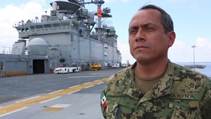 [B-Roll] Bold Alligator 16: Allied Strong Mexico