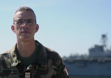 [B-Roll] Bold Alligator 16: Allied Strong France