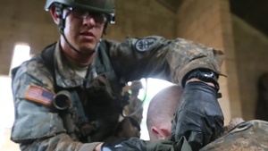 Expert Field Medical Badge