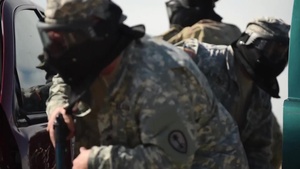 U.S. Army Military Police Regiment's 75th Anniversary