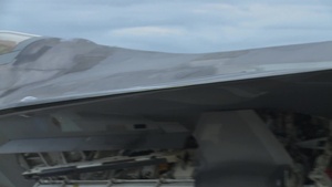 Raptors Prepare for Hermine