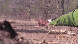 Anti-Poaching Demonstration Day