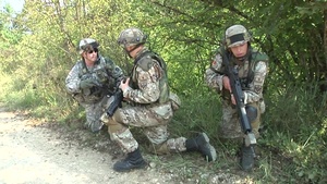 Working with allies during Immediate Response 16