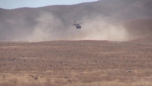 Zenda Maandan Black Hawks
