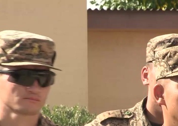 NOLES: Weapons and Handling Package