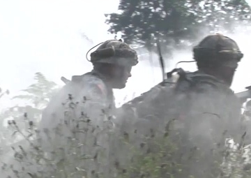 U.S. and Montenegro During Immediate Response 16