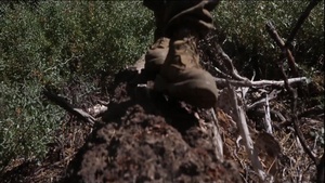 3rd Battalion 4th Marines take the mountains of Big Bear