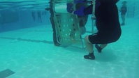 Taking the plunge