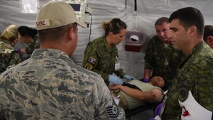 Exercise Immediate Response 16: EMEDS Training