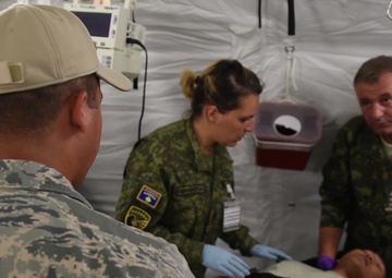 Exercise Immediate Response 16: EMEDS Training