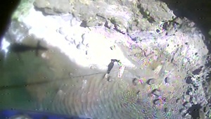 Coast Guard partners with local responders to rescue injured hiker near Agness, Ore.