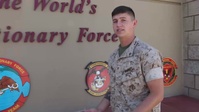 Around the MEF