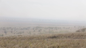 U.S. Marines Train with Romanians in Multinational Exercise