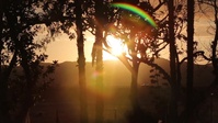 Camp Pendleton's Annual Evening Colors Ceremony