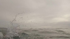 English Channel Swim:  B-roll 2/3