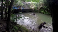 Marines endure the Jungle