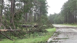 Downed Trees on McEntire JNGB - B-Roll