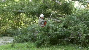 MCAS Beaufort Continues Recovery Operations after Hurricane Matthew