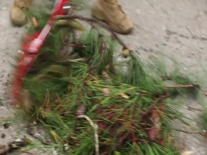MCAS Beaufort Begins Recovery, Cleanup Operations after Hurricane Matthew